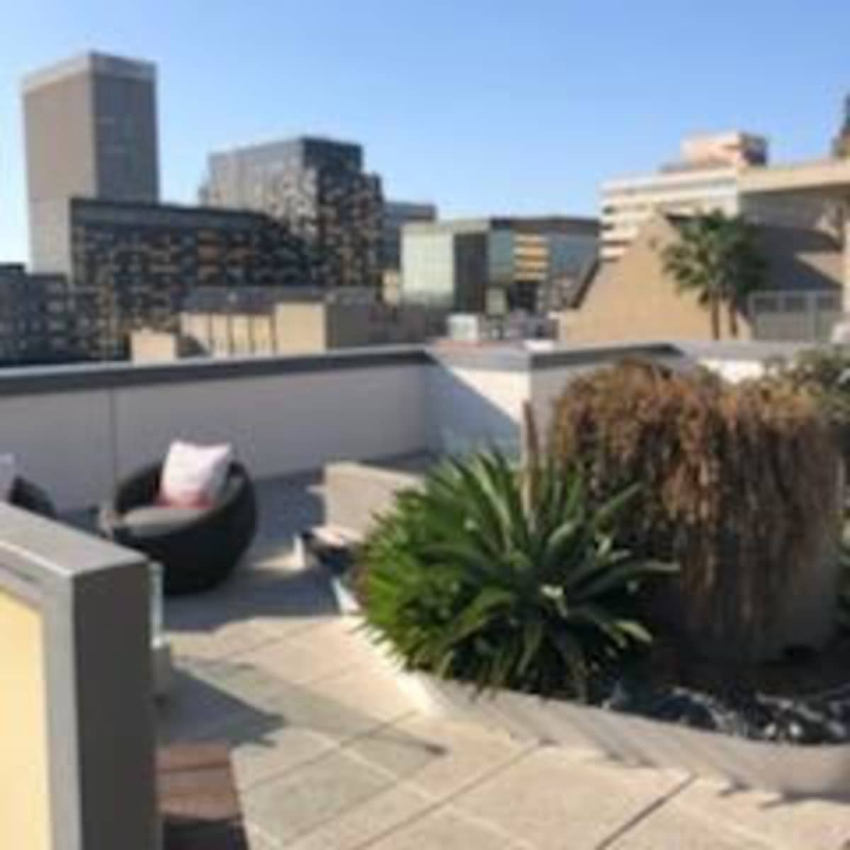 A rooftop terrace features seating arrangements and potted plants with a view of city buildings in the background.