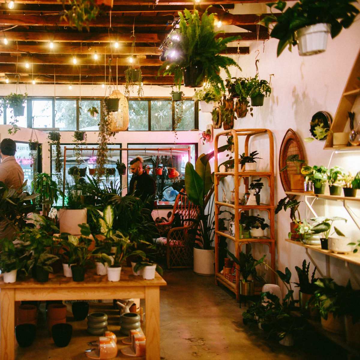 A vibrant plant shop features various indoor plants, hanging greenery, and customers browsing among shelves and display tables.