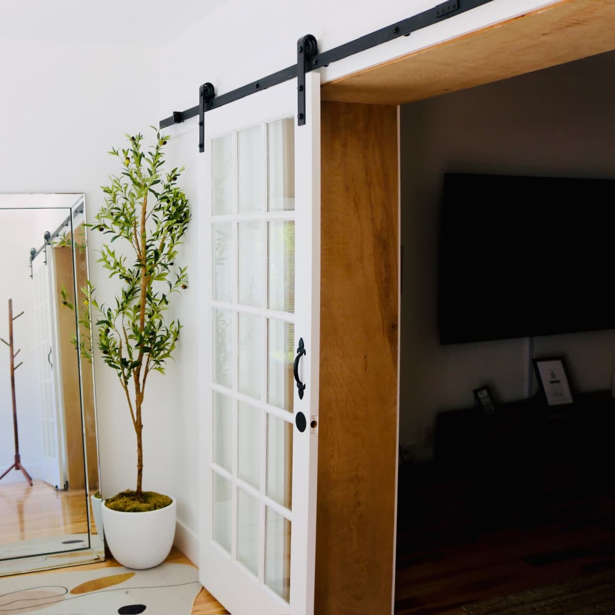 The scene features a well-lit interior with a mirror, a potted plant, a decorative vase, and a sliding door made of wood and glass.