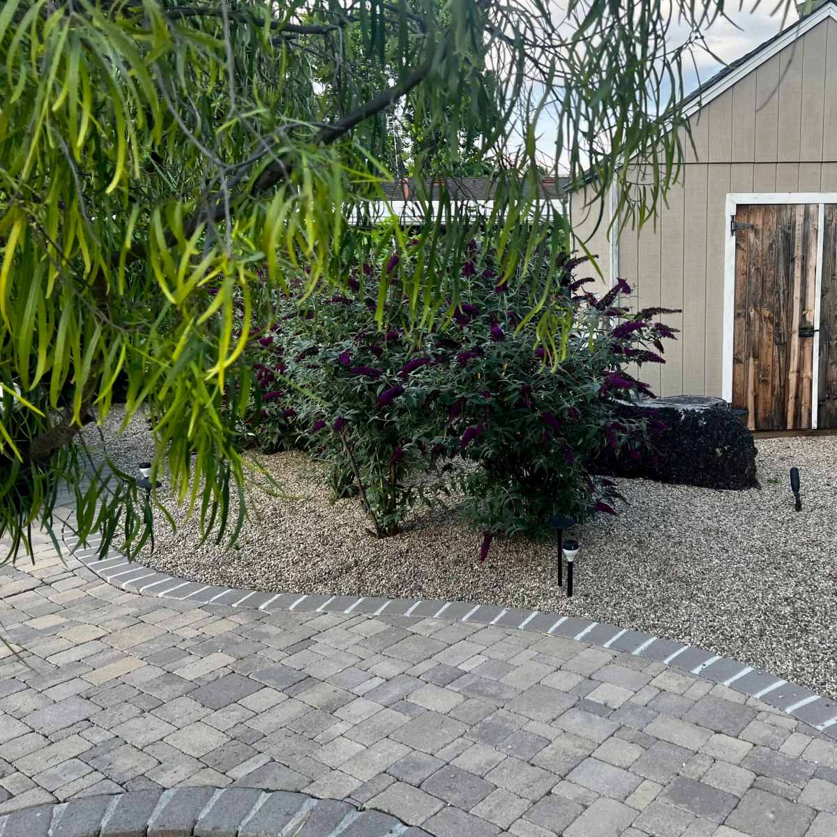 A gravel pathway leads to a shed with wooden doors, surrounded by plants and landscaping.