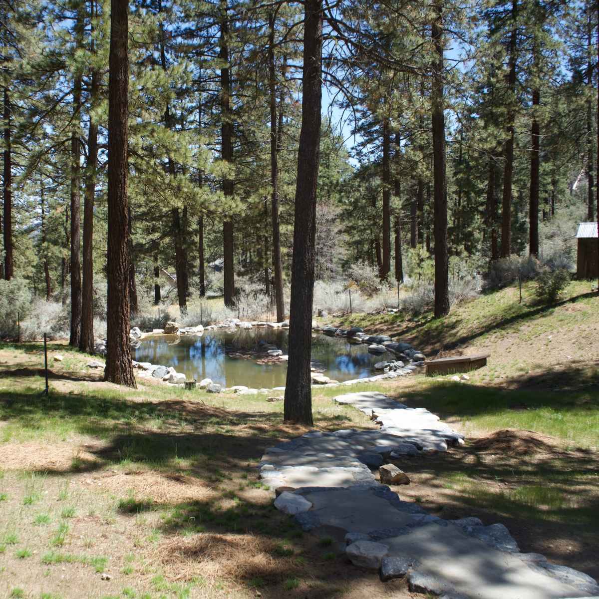 A stone path winding through a forested area, leading to a tranquil pond surrounded by rocks and pine trees.