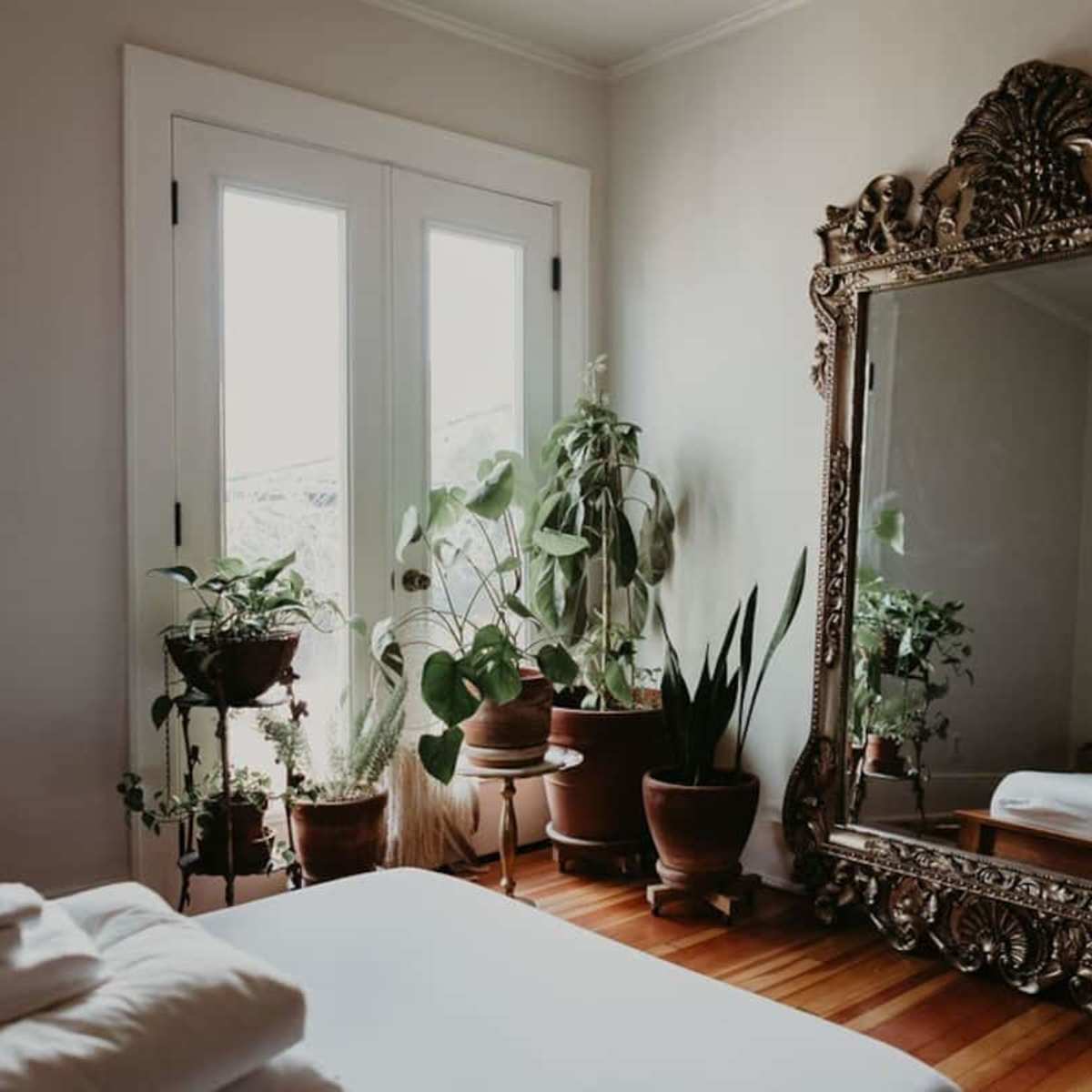 A spacious bedroom features a large ornate mirror next to several potted plants and double glass doors.