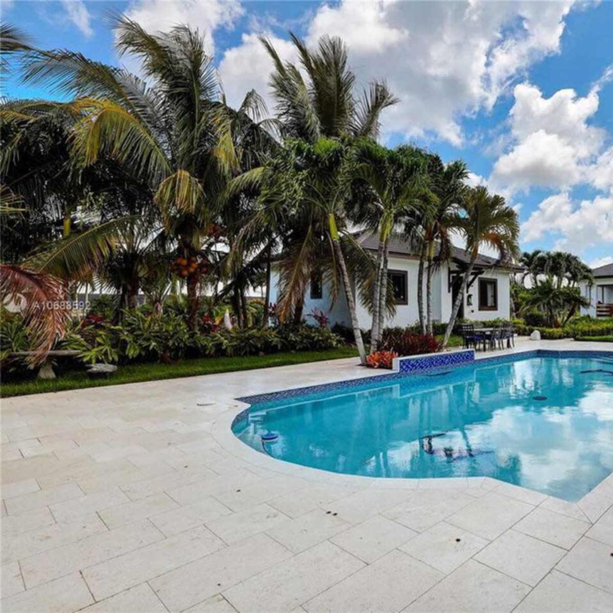 A swimming pool is surrounded by palm trees and landscaped greenery in a residential outdoor area.