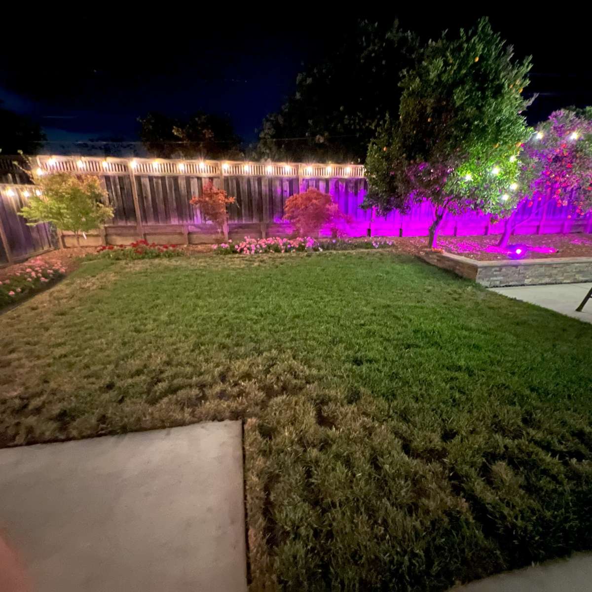 The backyard features a well-manicured lawn surrounded by illuminated trees and flower beds at night.