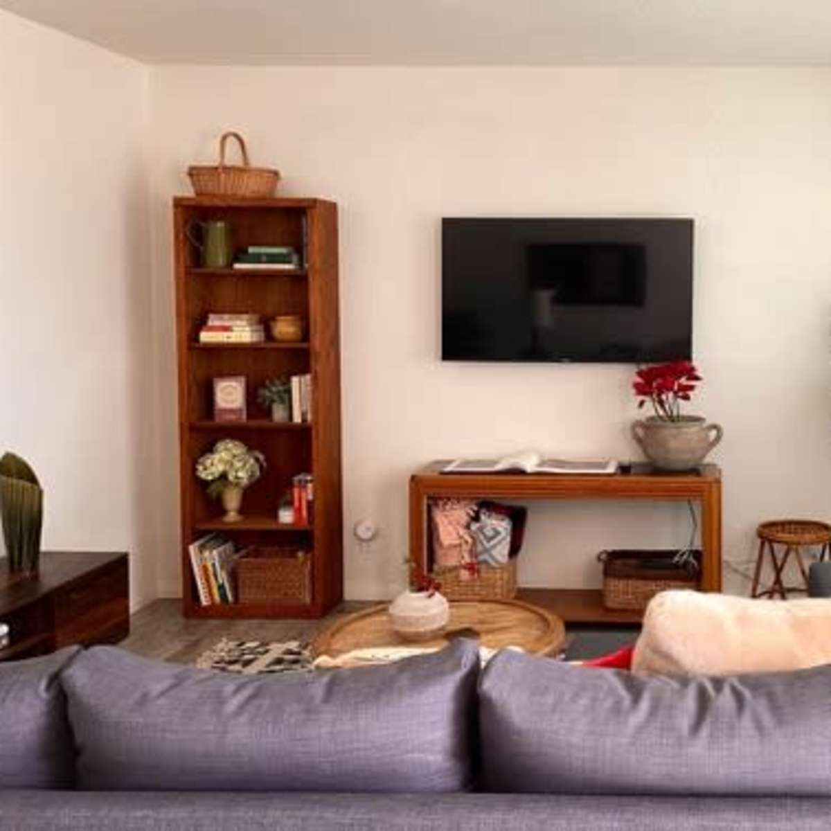 A living room with a gray sofa, a wooden bookshelf filled with books and decorative items, a wall-mounted television, and a potted plant next to a side table.