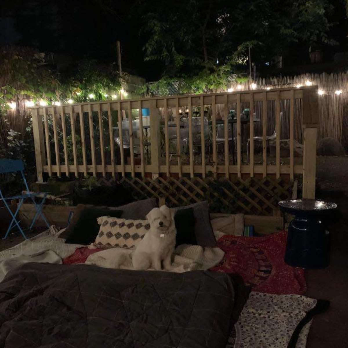 A white dog sits on a pile of blankets in a dimly lit outdoor space adorned with string lights.