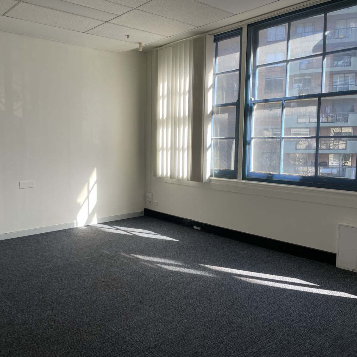 A bright, empty room features a carpeted floor and large windows with partially open blinds allowing sunlight to enter.