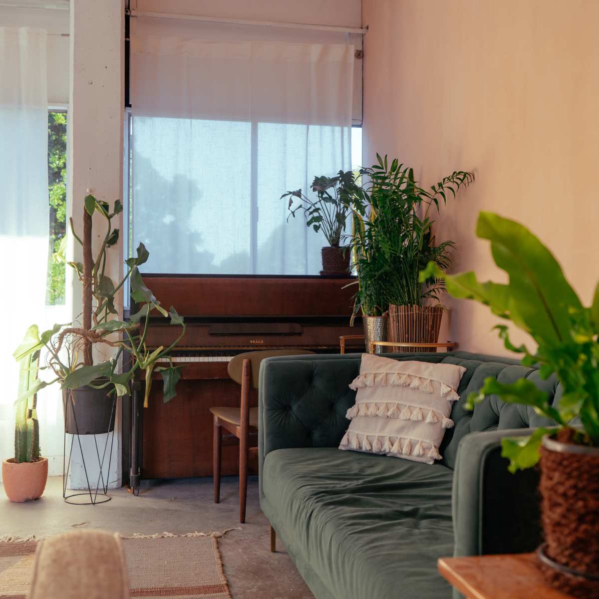 PHOTO / FILM STUDIO & WAREHOUSE in Balgowlah Image in Balgowlah, Balgowlah, NSW