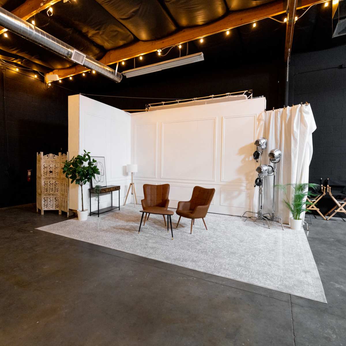 A spacious studio interior features two brown chairs on a patterned rug, surrounded by plants and studio equipment.