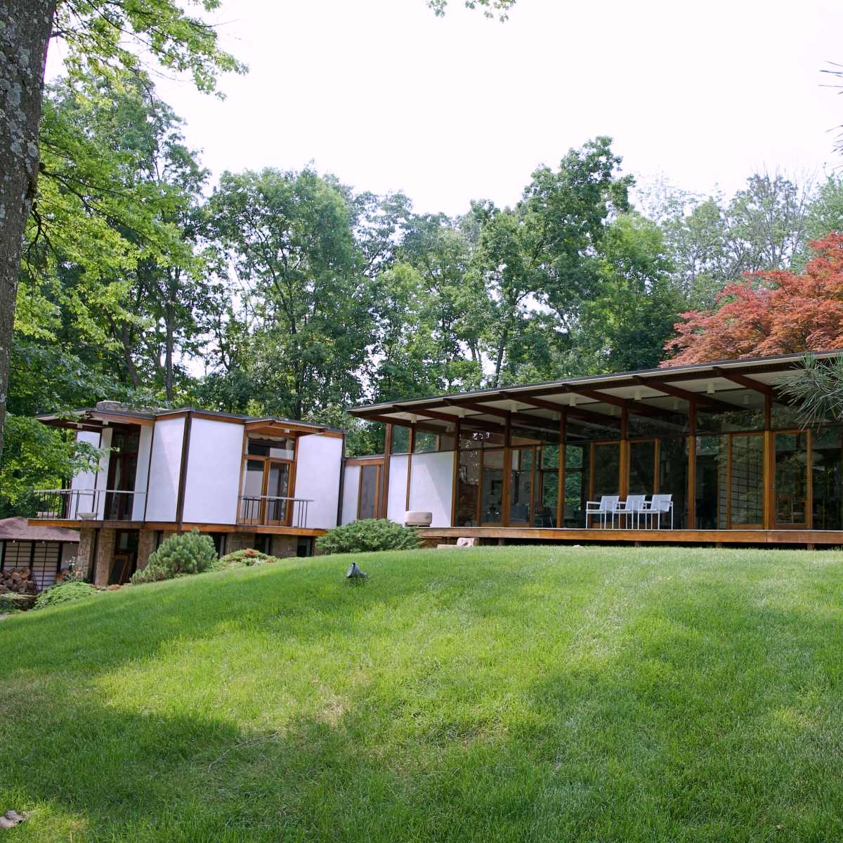 A modern house with large glass windows is situated on a grassy hillside, surrounded by trees and shrubs.
