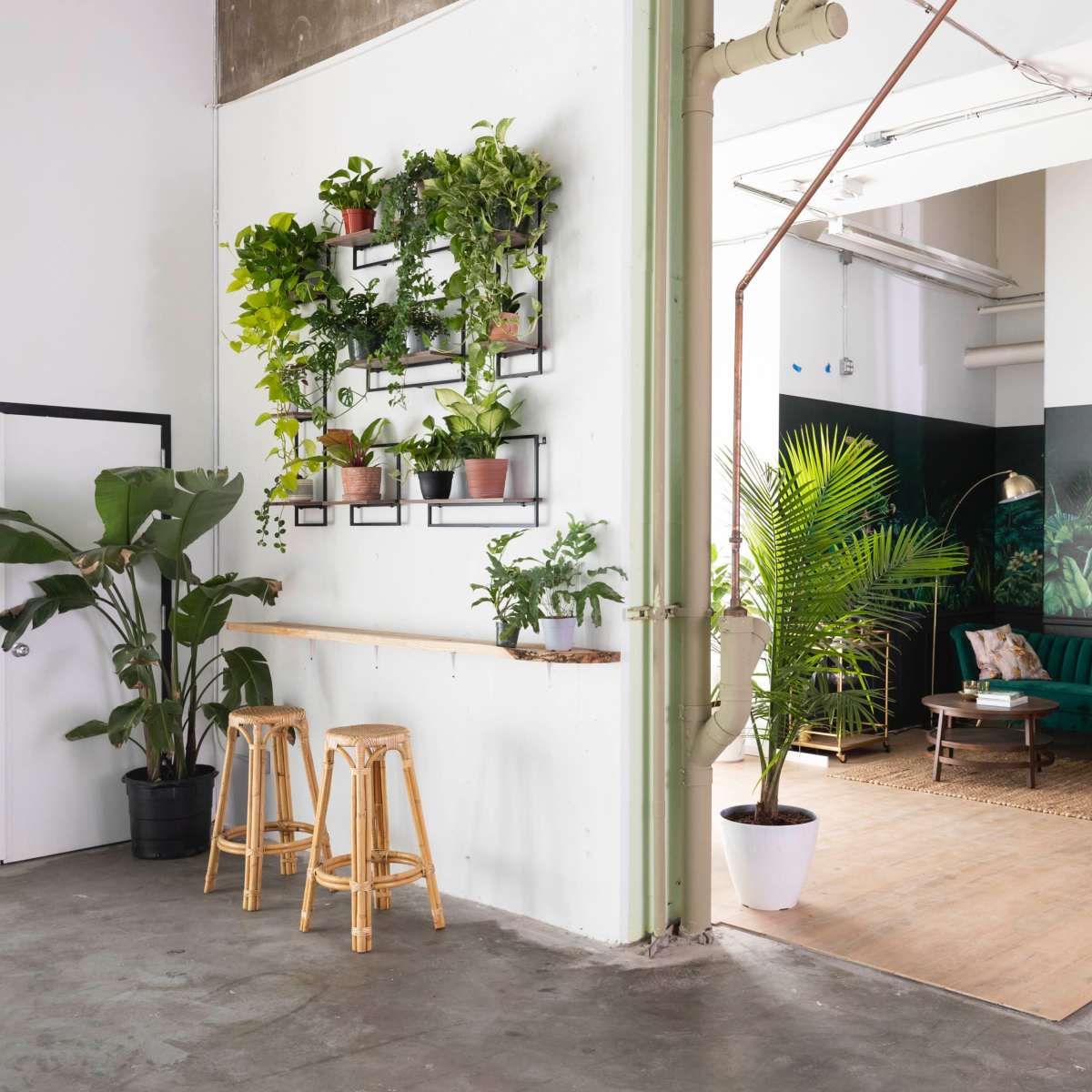 A modern indoor space featuring a greenery wall, seating area with a green sofa and orange chair, and a wooden bar with stools.