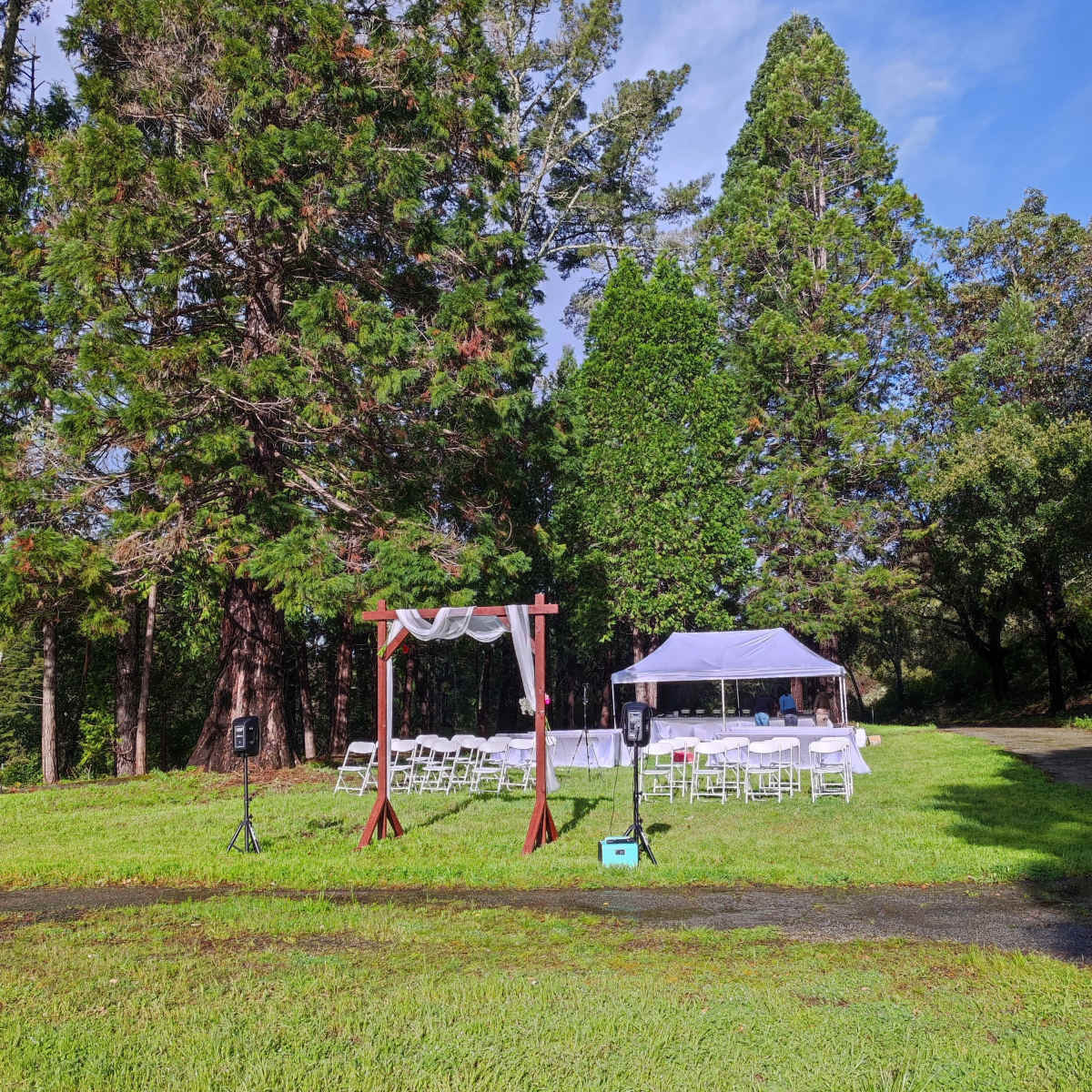 A wedding setup featuring white chairs and a canopy is arranged on a grassy area surrounded by tall trees.