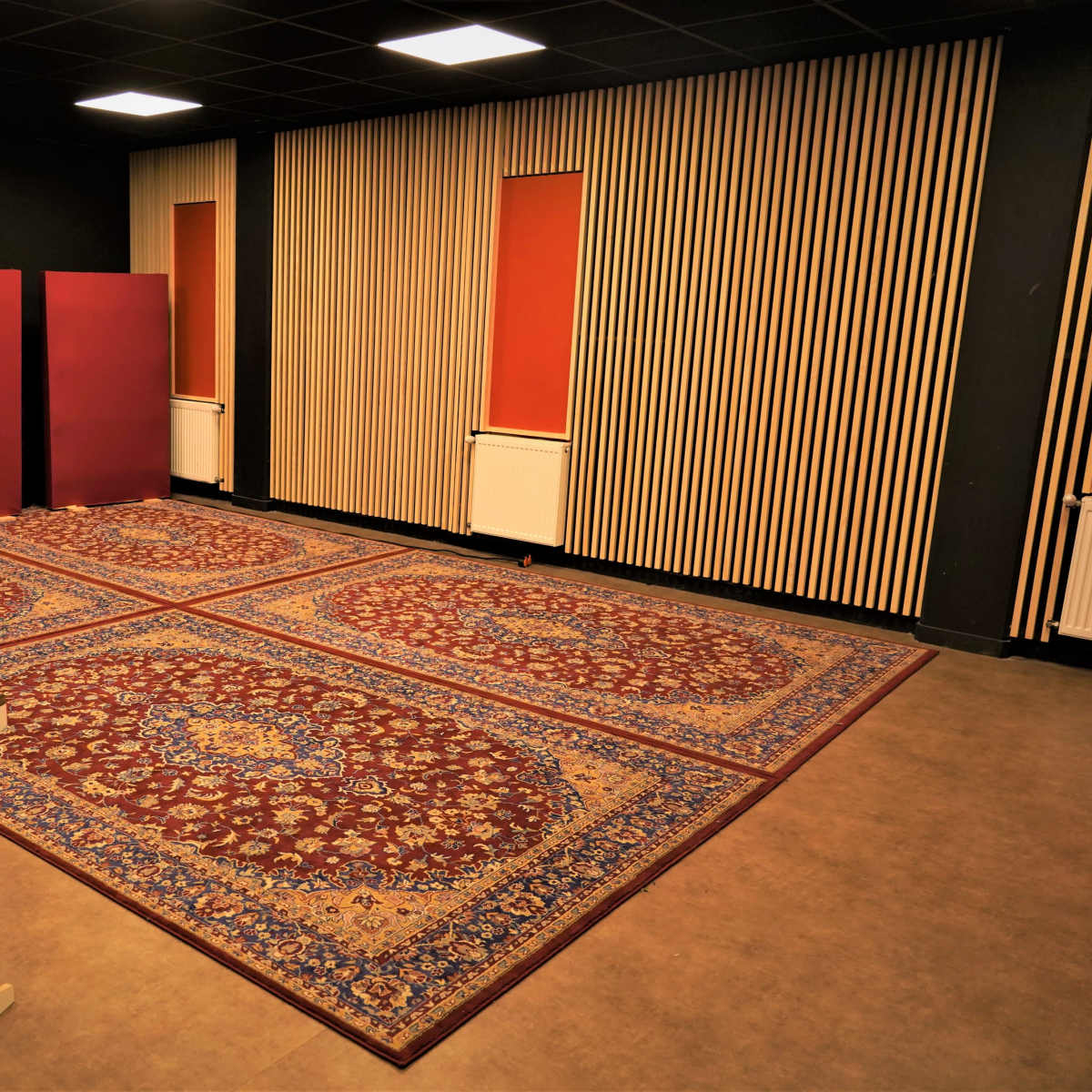 A spacious room with patterned rugs on the floor, partitioned by red panels, and featuring wooden accents on the walls.