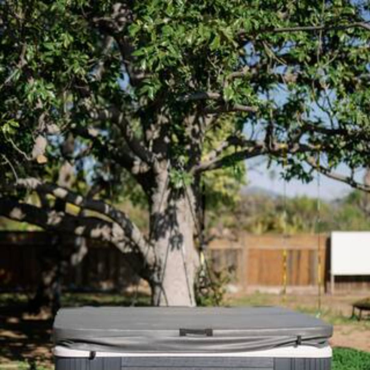 A hot tub is situated on a paved surface beneath a tree in a backyard.
