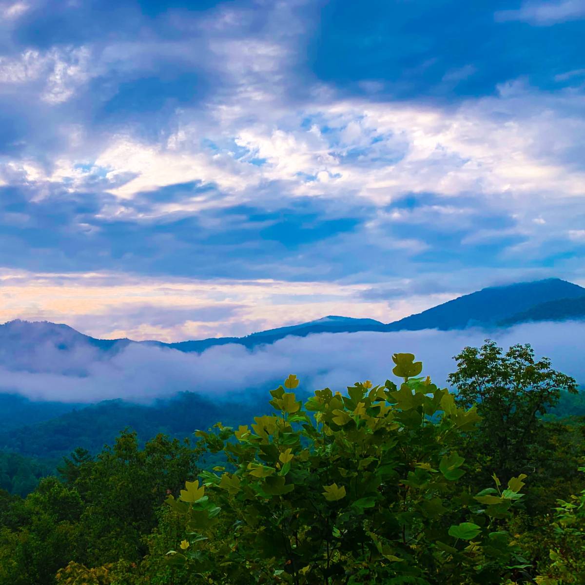 A panoramic view of mountains shrouded in fog under a cloudy sky at dawn.