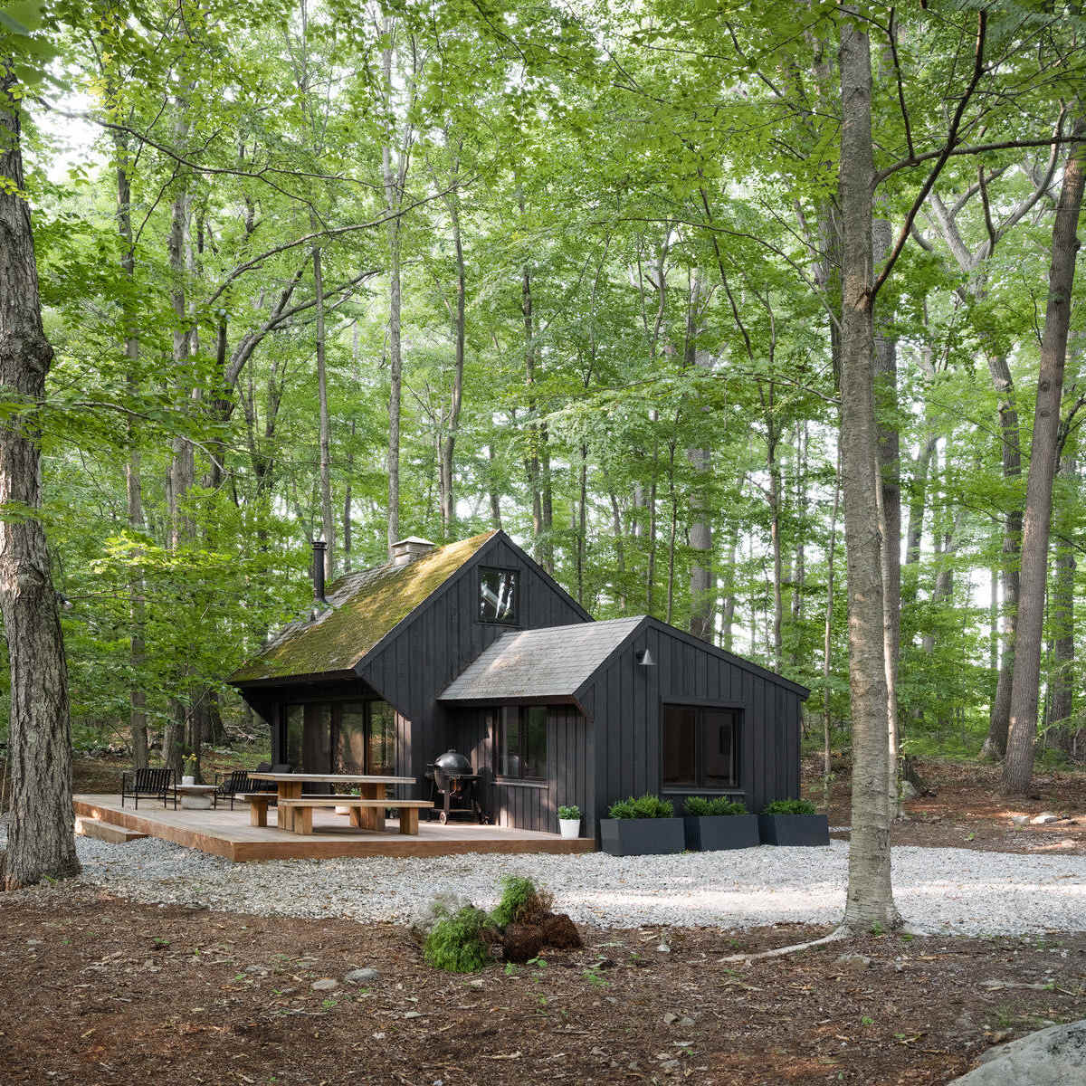 A black wooden cabin with a sloped roof sits on a gravel patio surrounded by trees in a forested area.