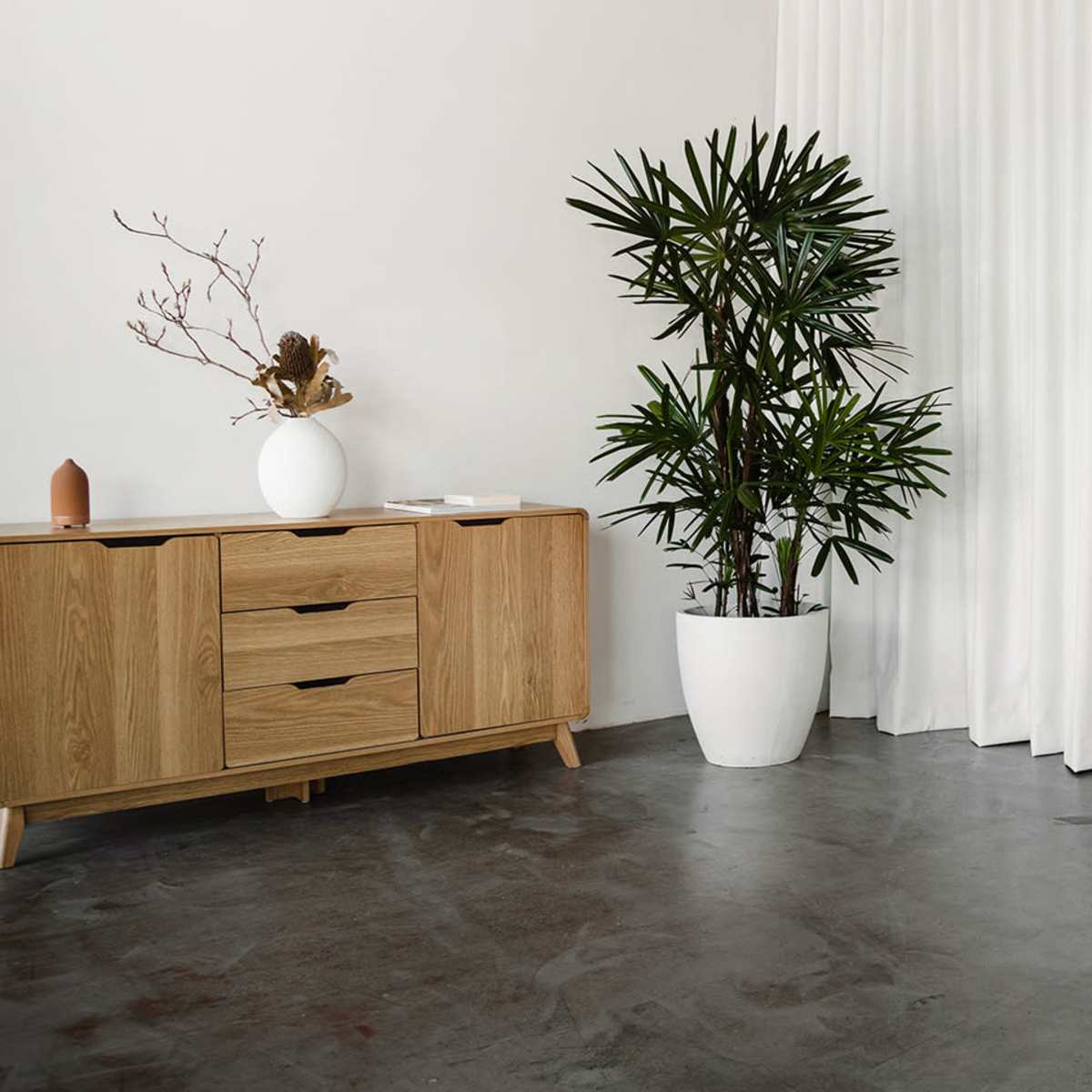 A minimalist interior features a wooden chair, a sideboard, two potted plants, and white curtains against a concrete wall.