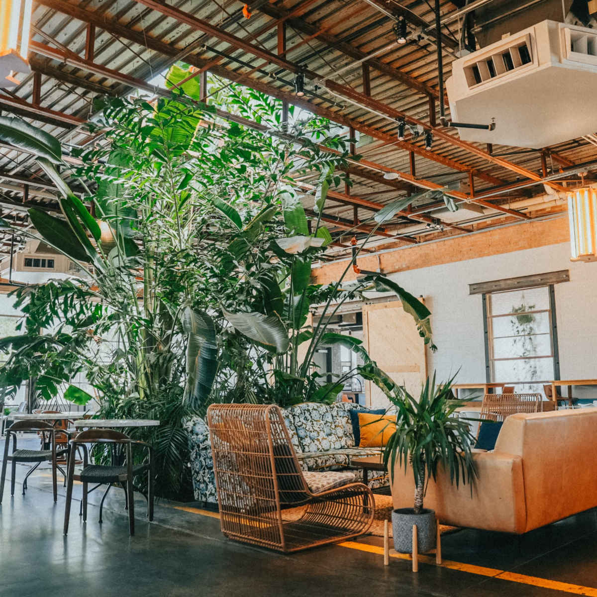 A spacious indoor lounge area with large plants, a brown leather sofa, and wooden furniture under a metal ceiling.