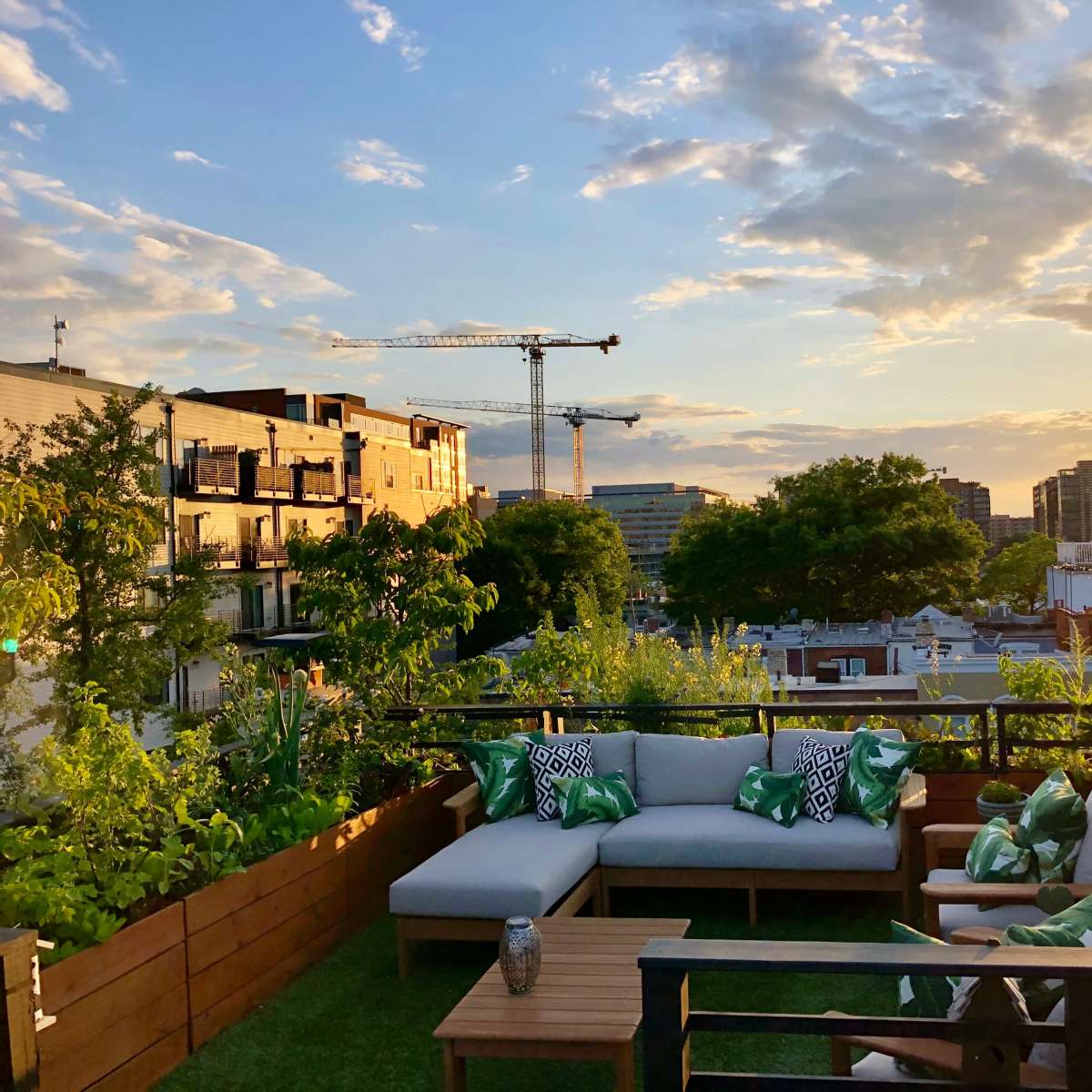 A rooftop terrace features a sectional sofa with green pillows and plants, overlooking a cityscape at sunset.