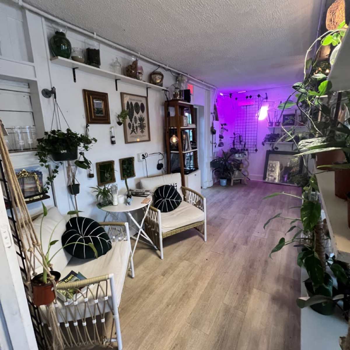 Beachfront Plant Shop & Outdoor Space in Flagler Beach Image in Flagler Beach, Flagler Beach, FL