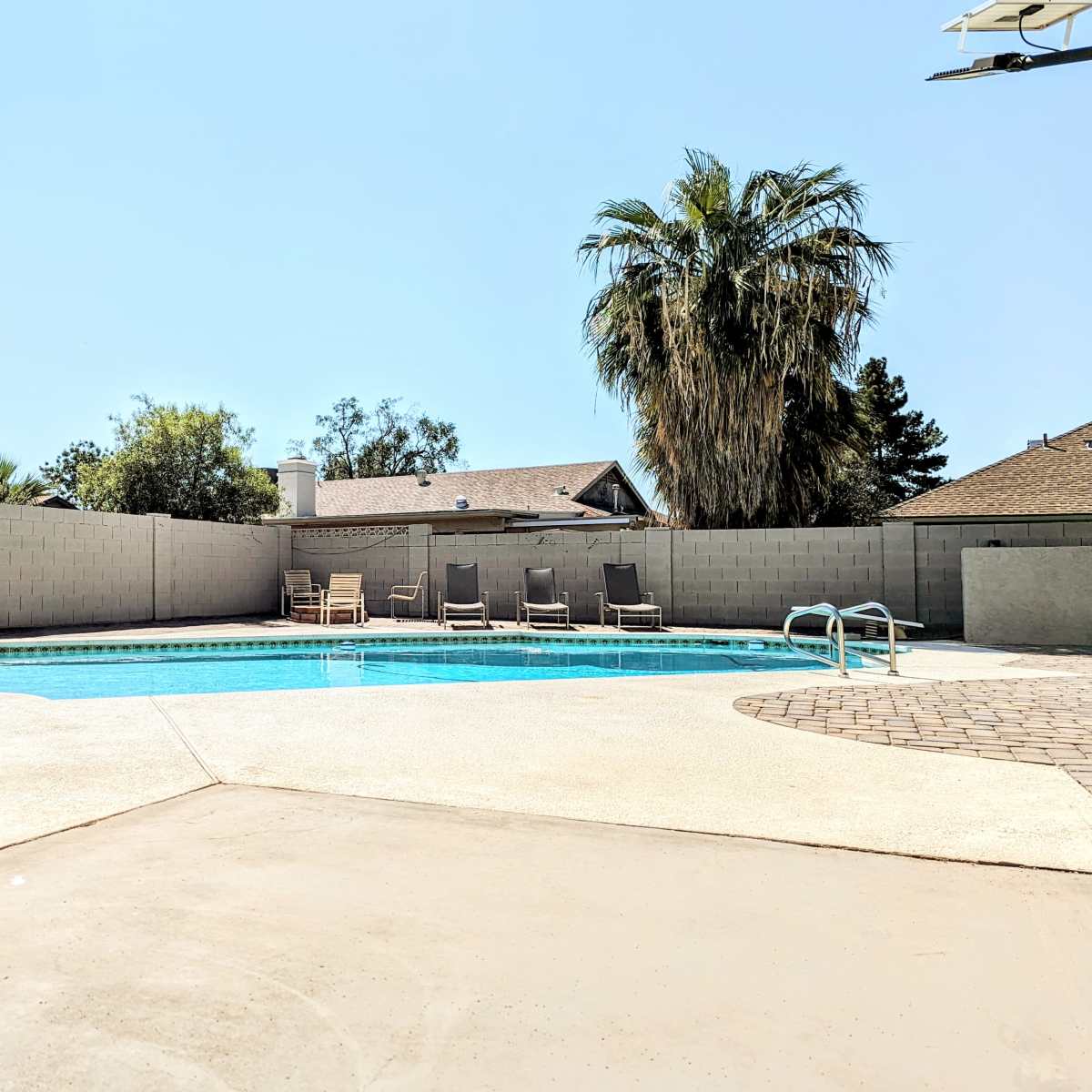 A swimming pool surrounded by a concrete deck, with lounge chairs positioned nearby and bordered by a low wall and palm trees.