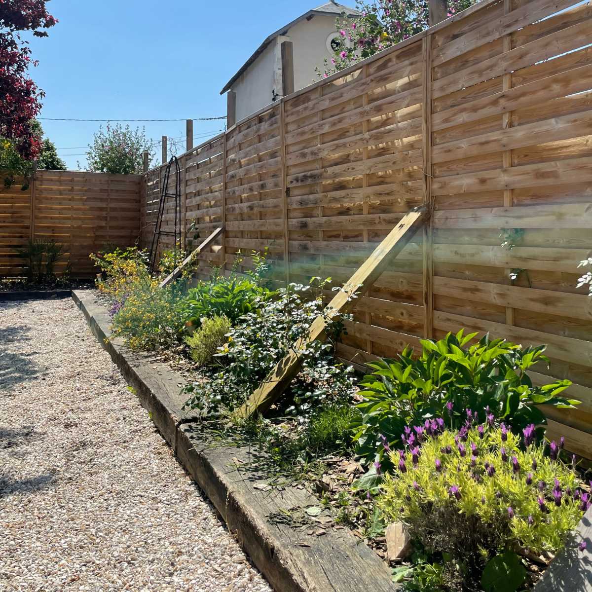 A garden with a wooden fence, various plants and flowers, and a clear blue sky above.