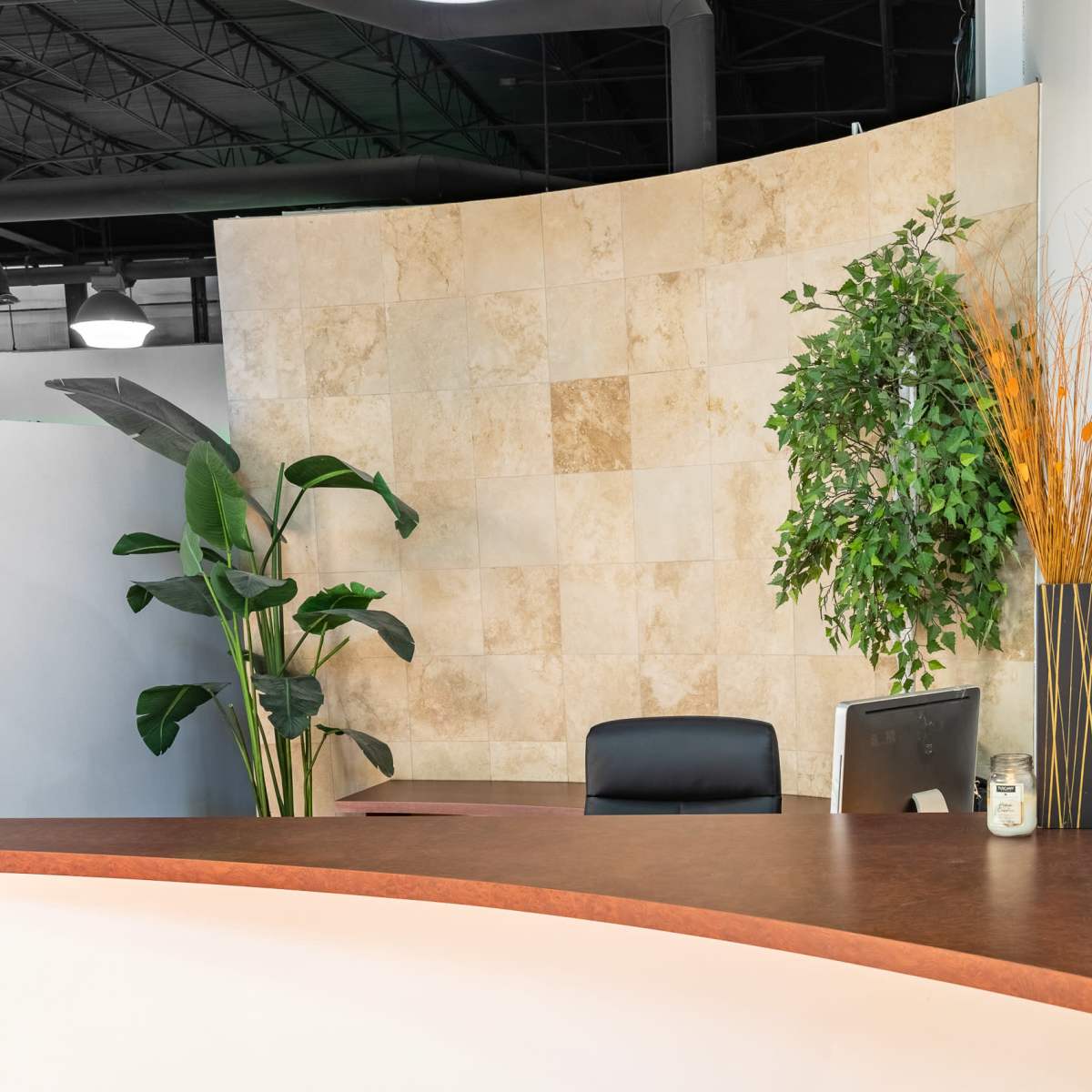 A modern reception area featuring a curved countertop, a black chair, and decorative plants against a light-colored wall.