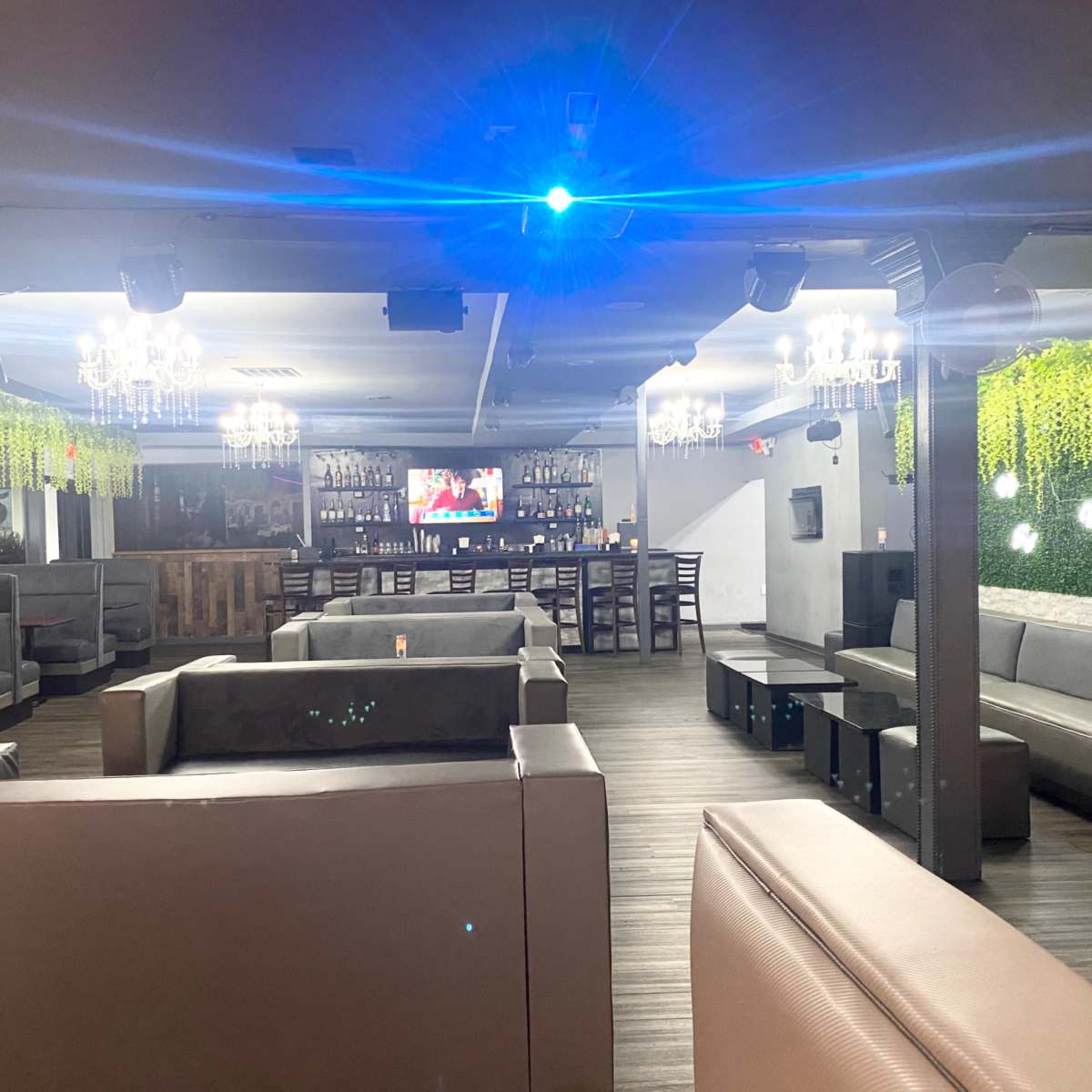 A modern lounge area with multiple seating sections and a central bar, illuminated by overhead lights and adorned with greenery.
