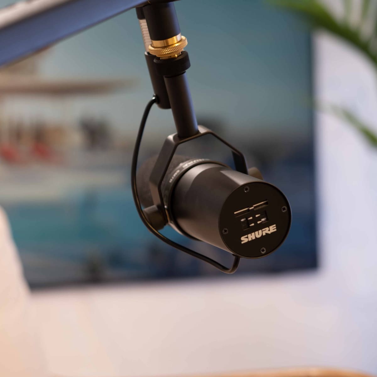 A black microphone is mounted on an adjustable arm, positioned in front of a blurred background featuring a coastal scene.