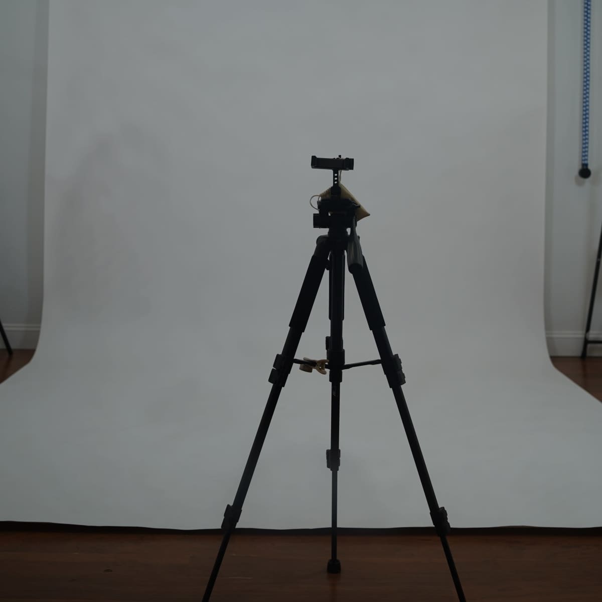 A black tripod stands in front of a plain white backdrop in a studio setting.