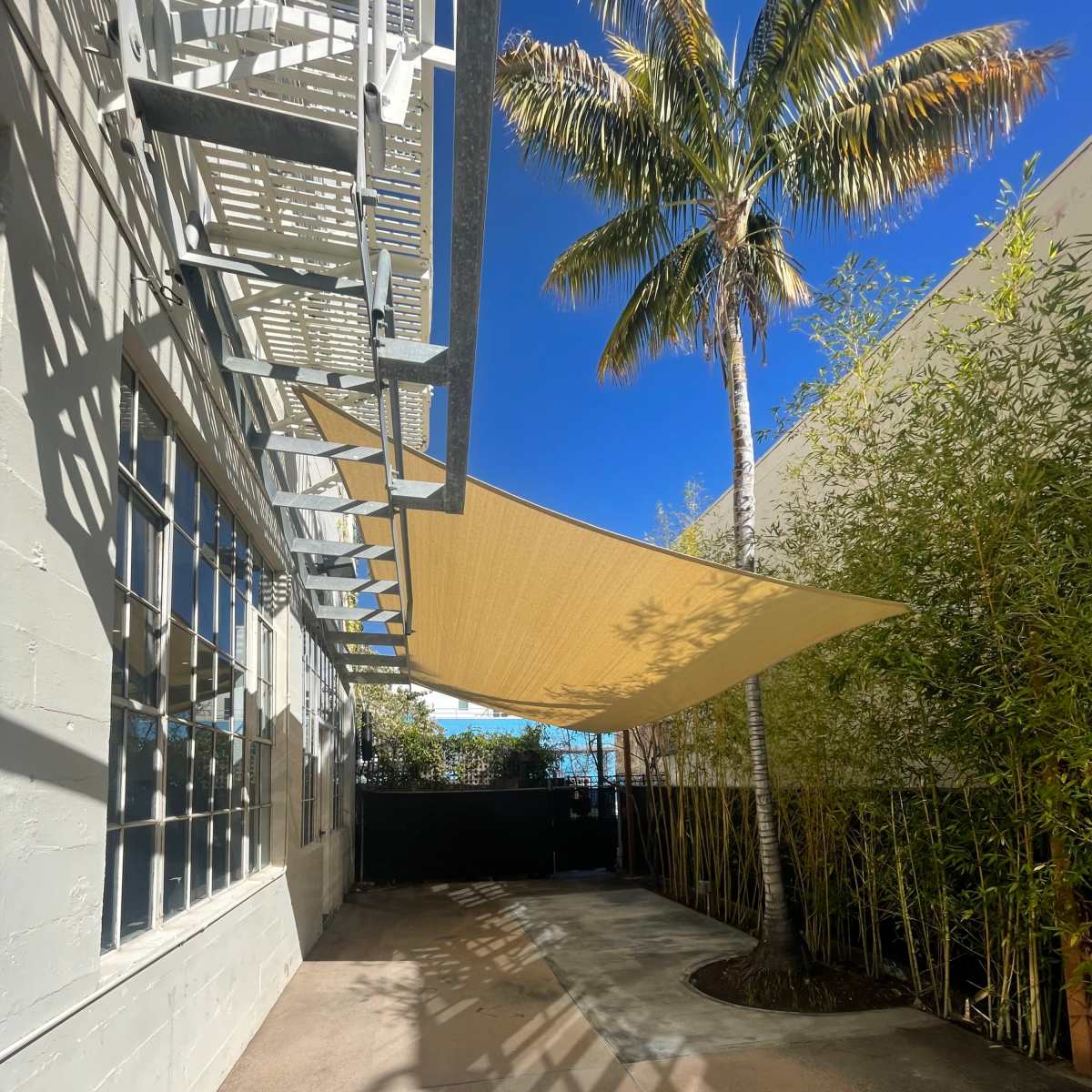 A shaded outdoor area features a large fabric canopy, a palm tree, and bamboo plants adjacent to a building.