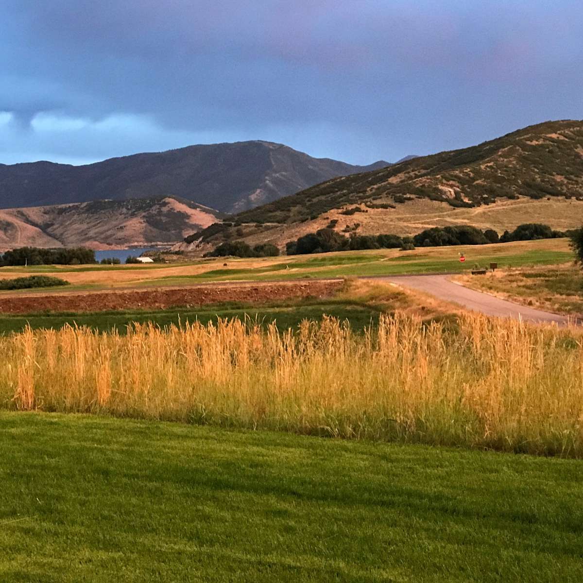A serene landscape with rolling hills, a winding road, and fields of grass under a cloudy sky.