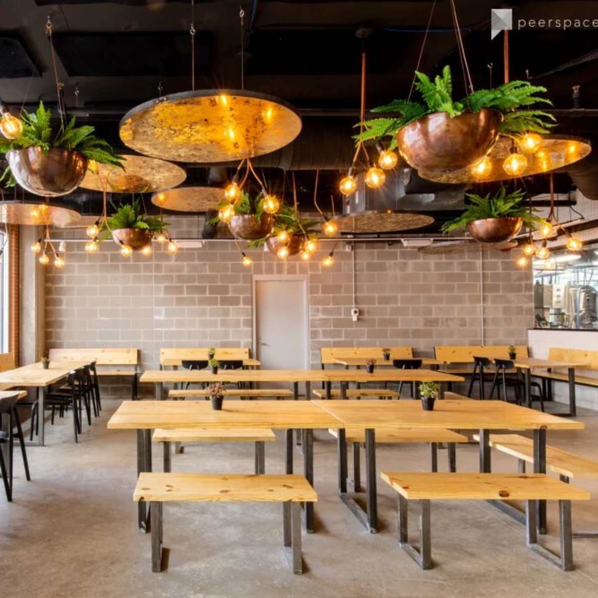 A modern restaurant interior featuring wooden tables, metal chairs, and hanging light fixtures with plants.