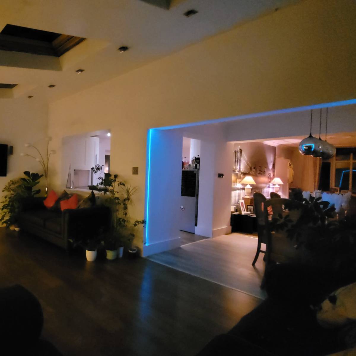 A spacious living area with a television, plants, and various seating arrangements, illuminated by soft lighting.
