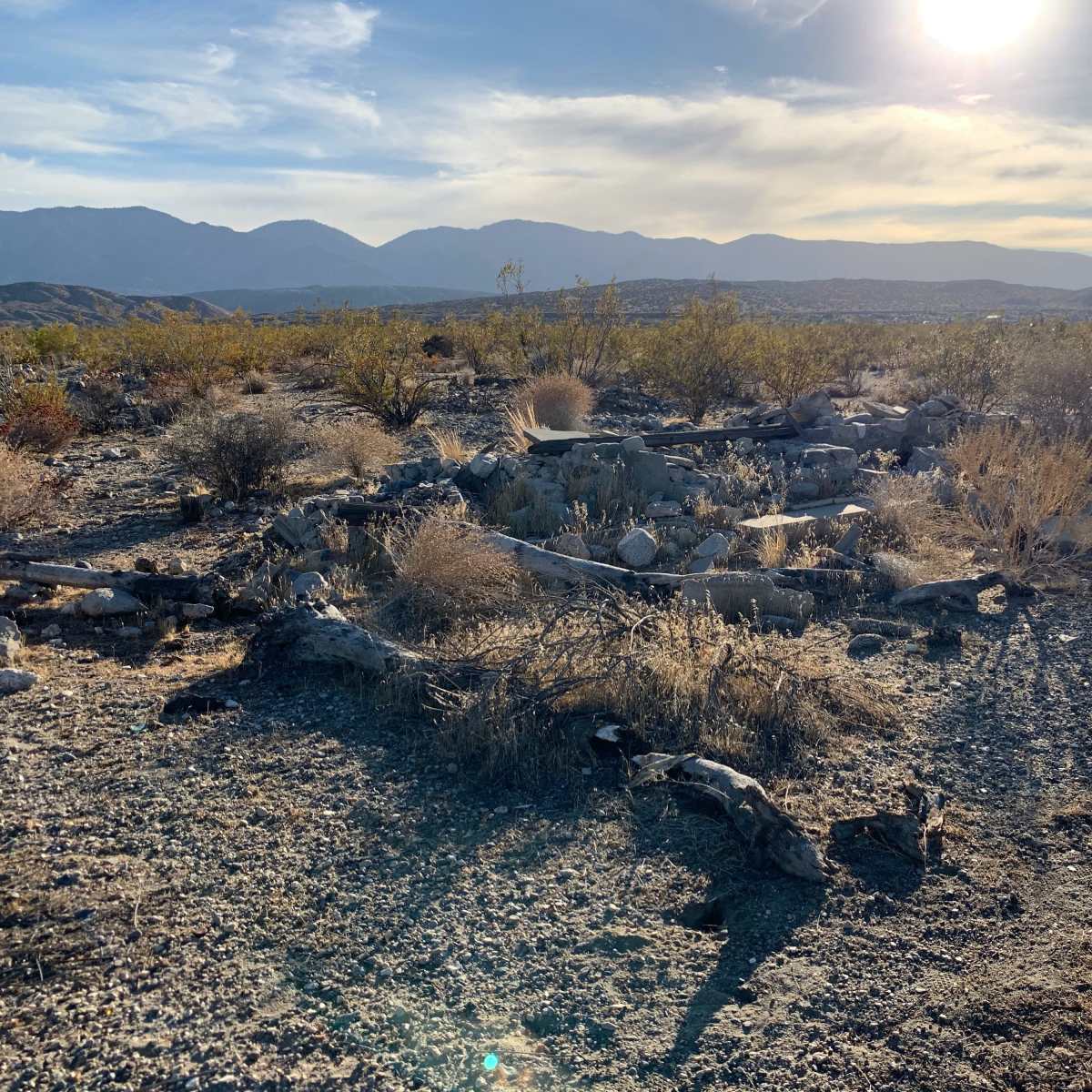 The scene shows a rocky, arid landscape with scattered shrubs and dried vegetation, set against a backdrop of mountains under a bright sun.