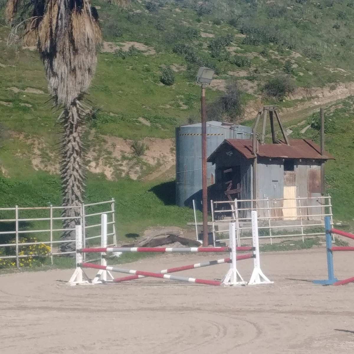 An outdoor equestrian arena with several colorful jump obstacles and a weathered metal shed in the background, set against a hillside.