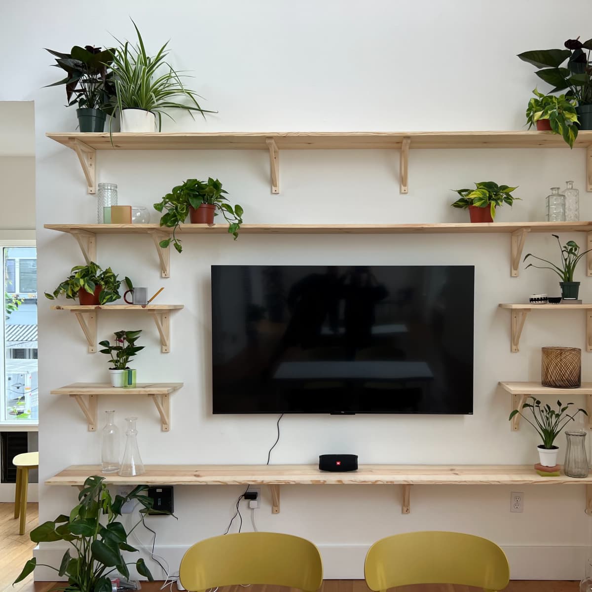 A wall-mounted shelving unit with various plants and a television at the center is displayed in a bright room.