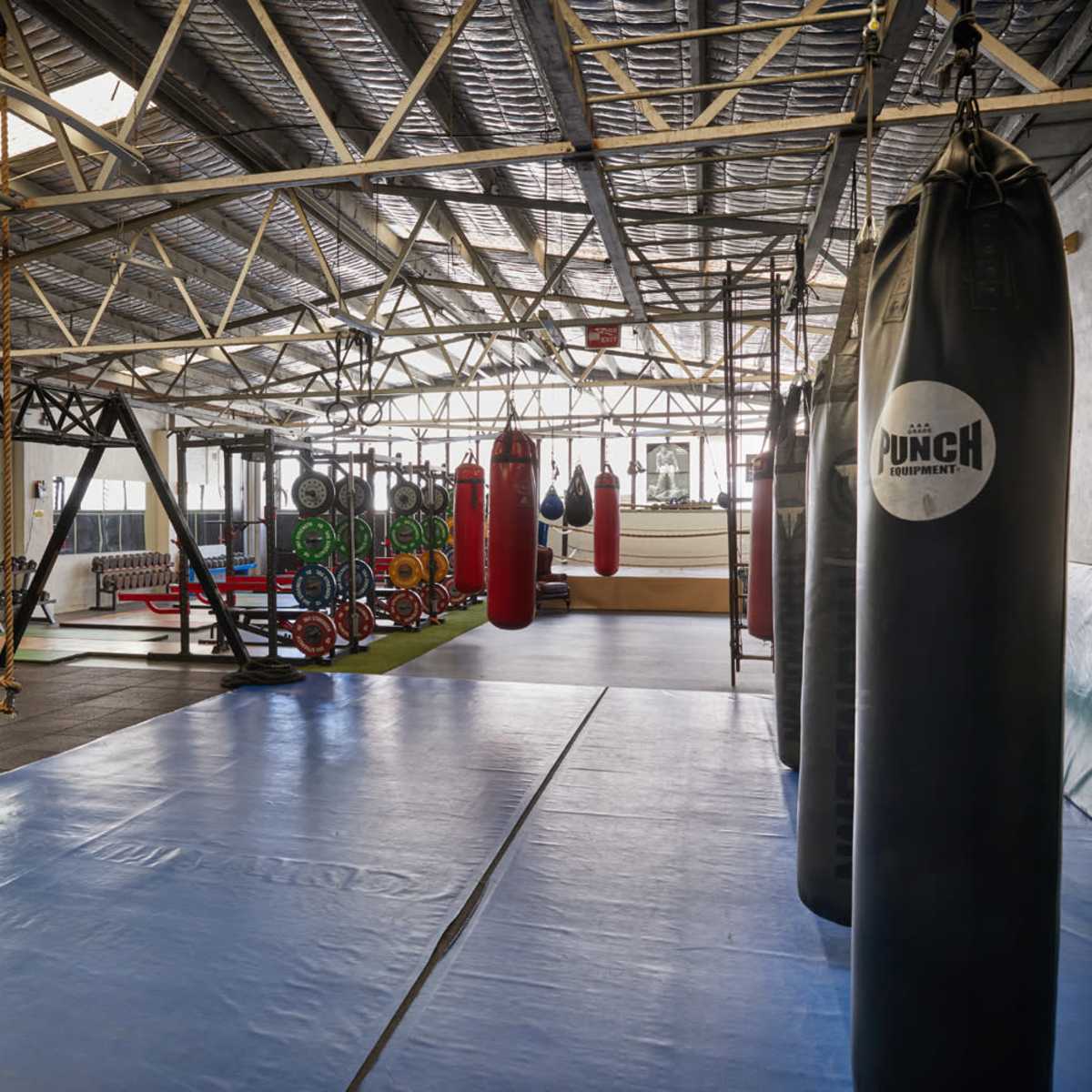 A well-equipped gym with punching bags, weights, and exercise mats set in a spacious, industrial-style facility.