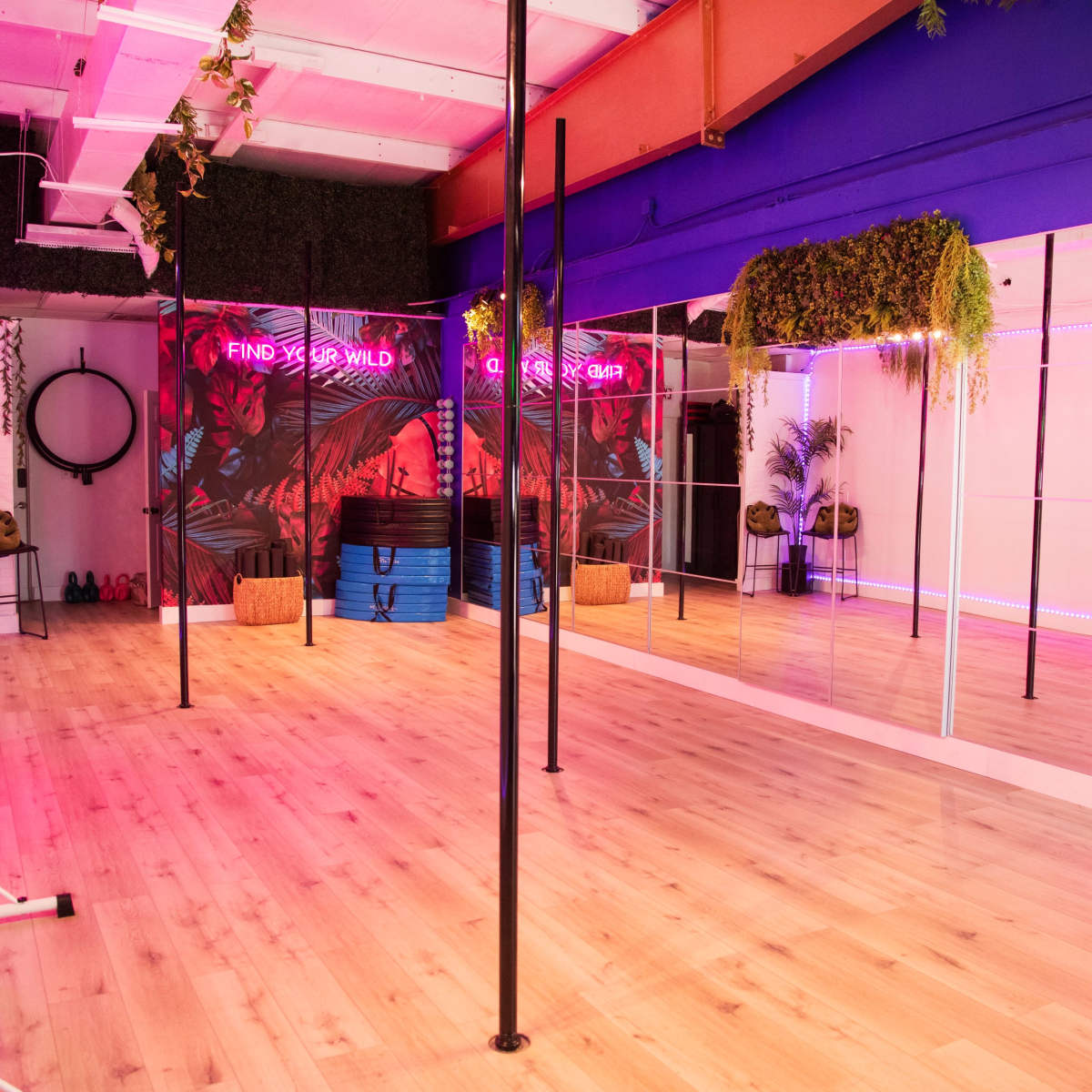 Neon jungle studio space, Tampa, FL Production Peerspace