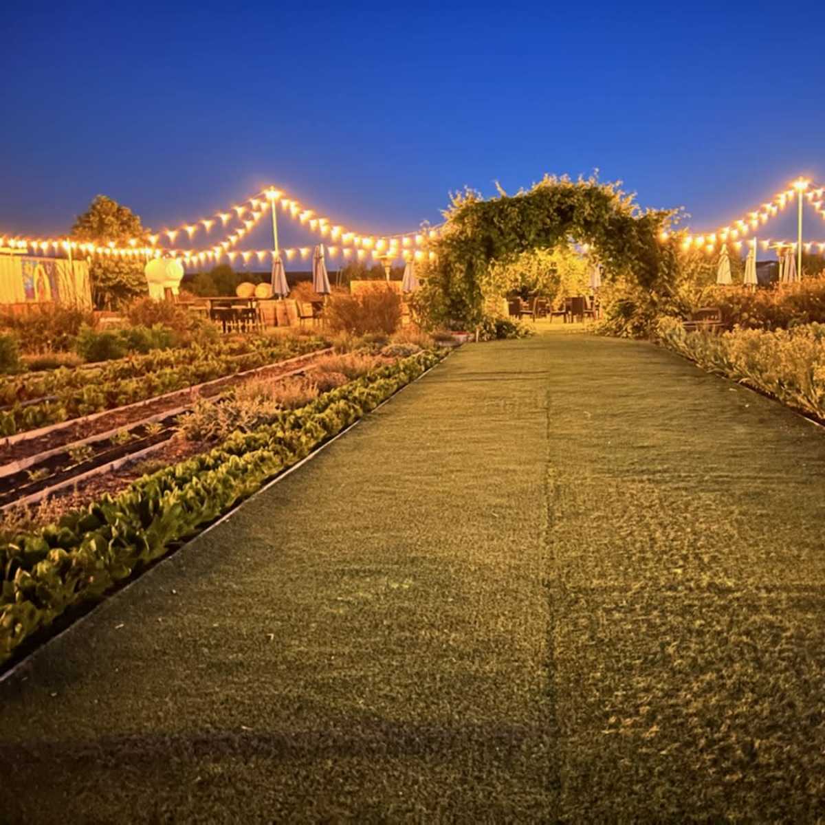 A pathway lined with artificial grass, leading through an archway covered in greenery, illuminated by string lights under a twilight sky.