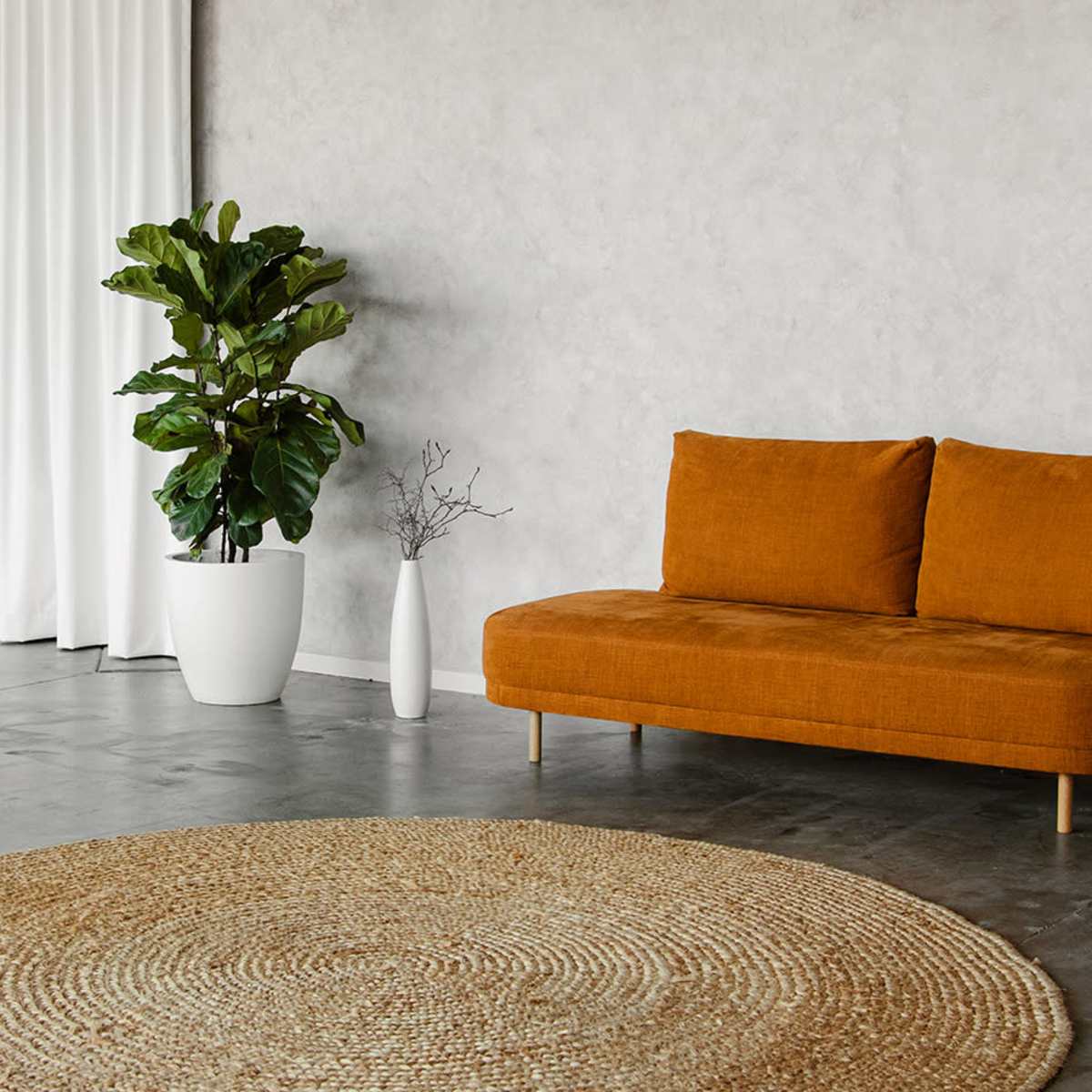 A modern living space featuring an orange sofa, a black chair, a round jute rug, and large potted plants against a light gray wall.