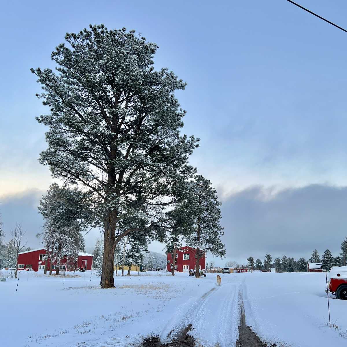 Mountain Farm, Barns, and Scenic Vistas in Conifer Image in Pleasant Park Corridor, Conifer, CO
