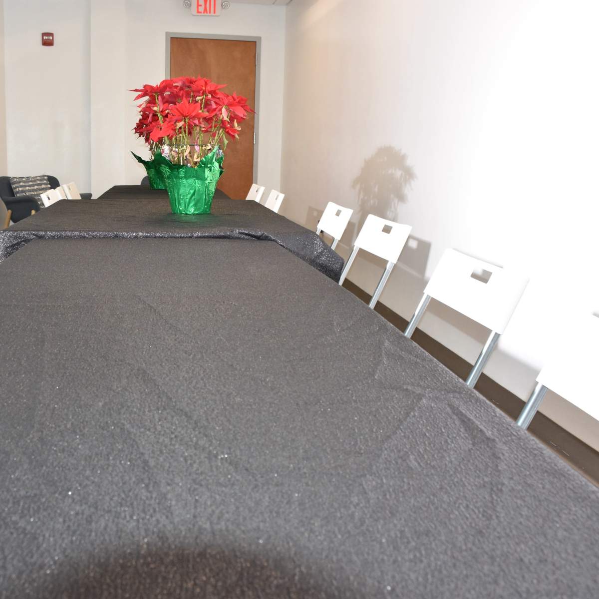 A long table covered with a black cloth is set up in a bright room, featuring a green potted plant with red flowers at its center.