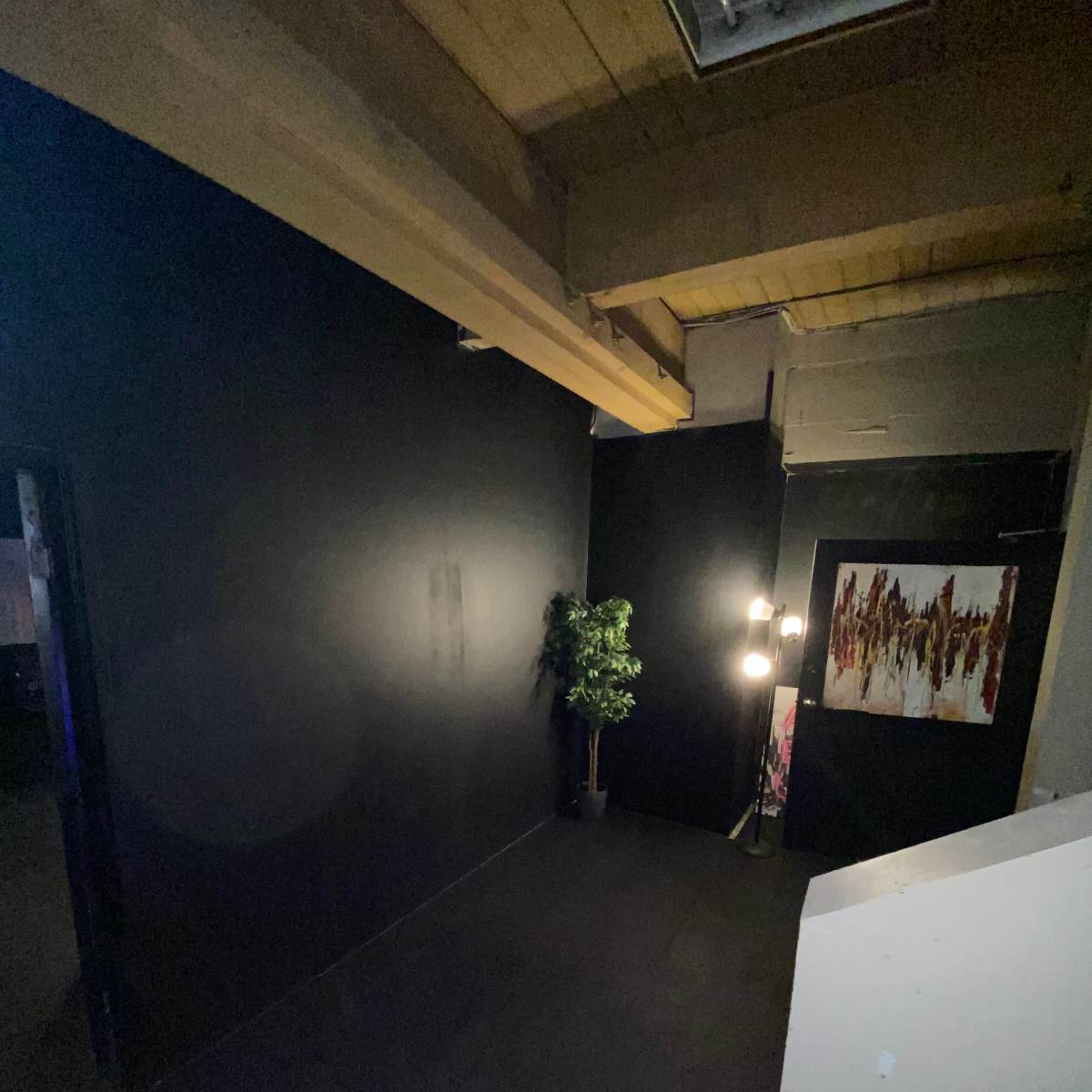 A dimly lit corner of a room featuring a black wall, a potted plant, and an artwork above a light source.