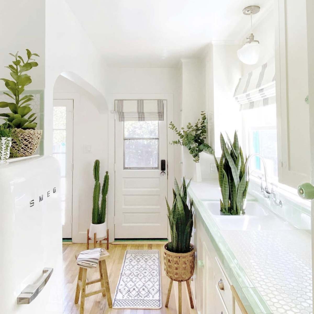 A bright kitchen with white walls, a door leading outside, various indoor plants, and a retro-style refrigerator.