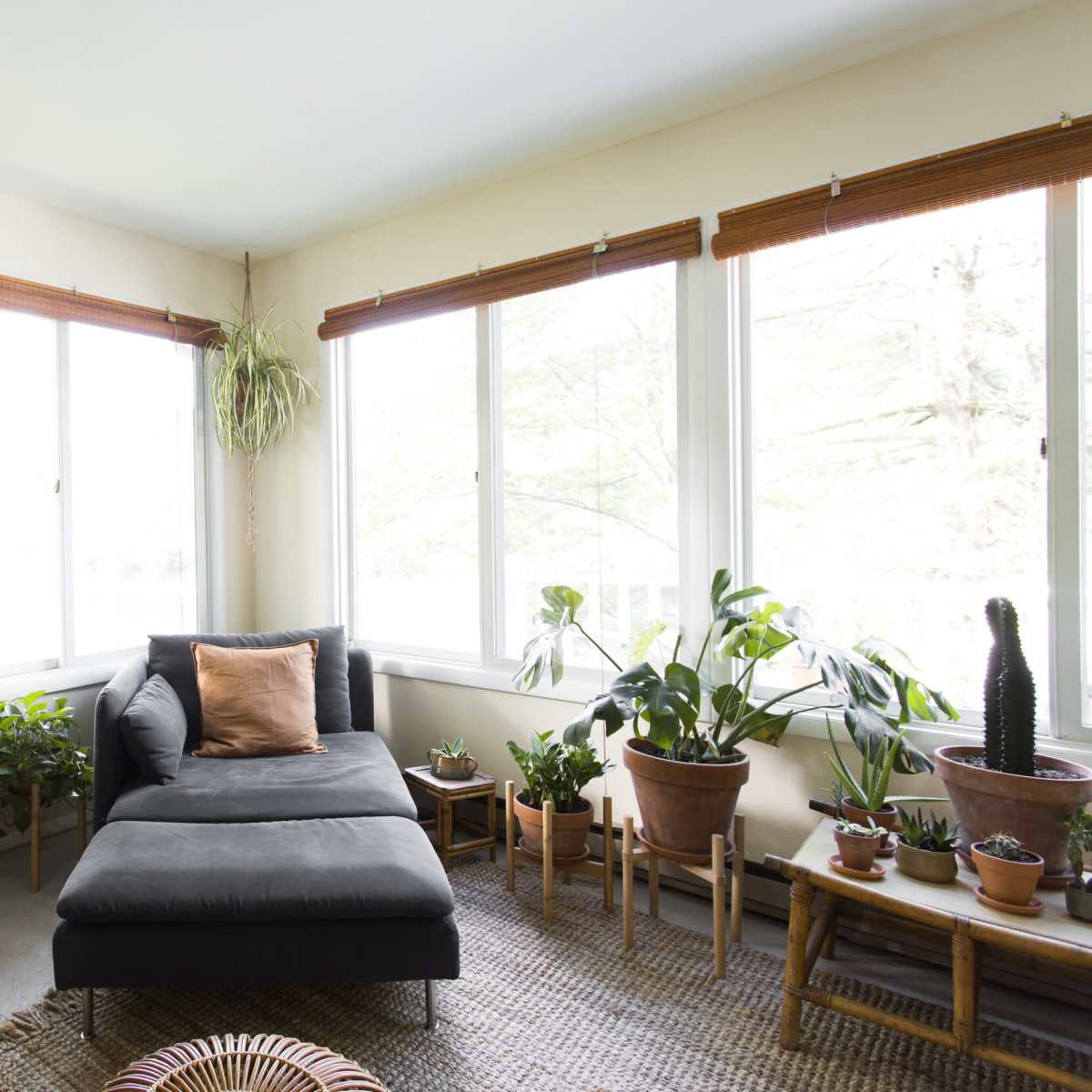 A bright living room with large windows, a gray chaise lounge, various potted plants, and a wooden shelf holding more plants and firewood.