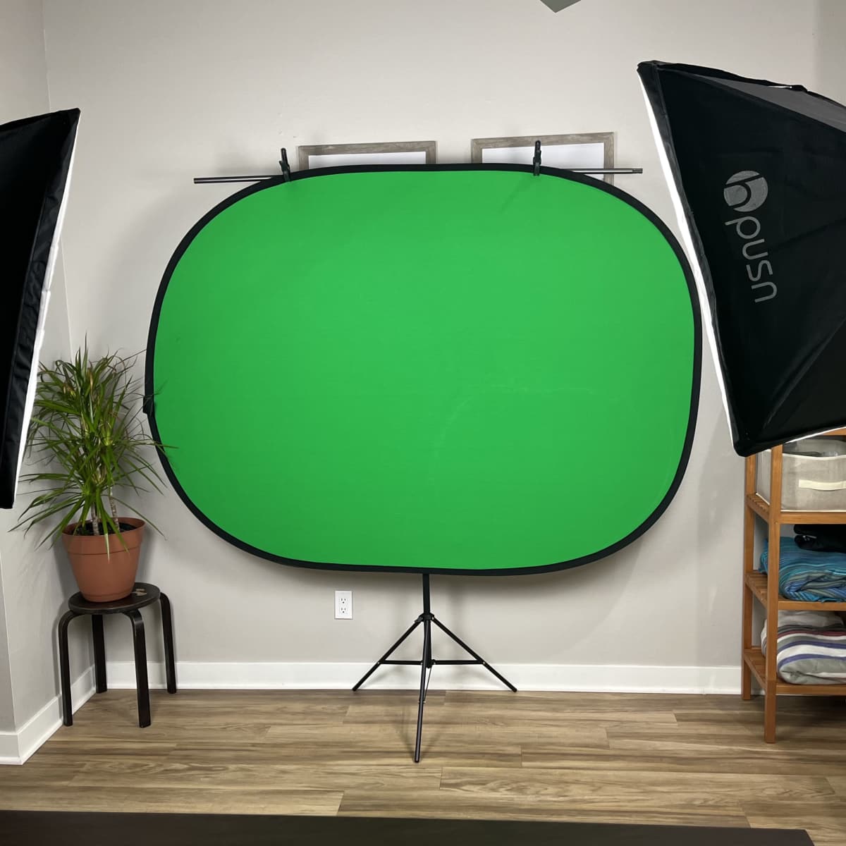 A room with a green screen setup, flanked by two softbox lights and a potted plant.