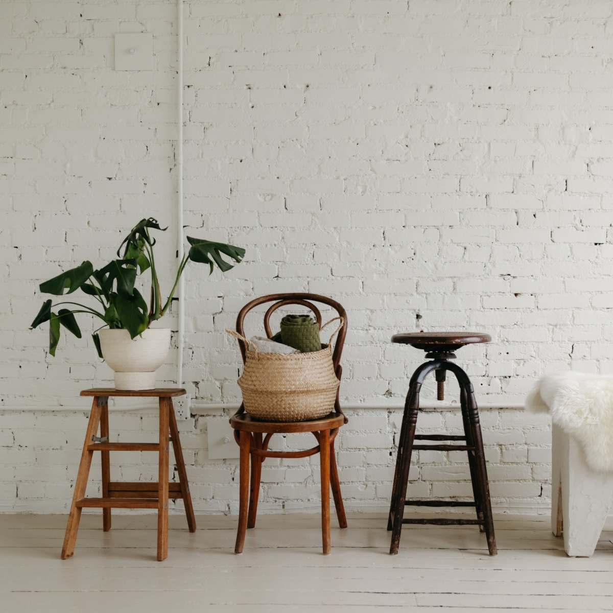 A row of four distinct stools and chairs against a white brick wall, with a potted plant on one of the stools.