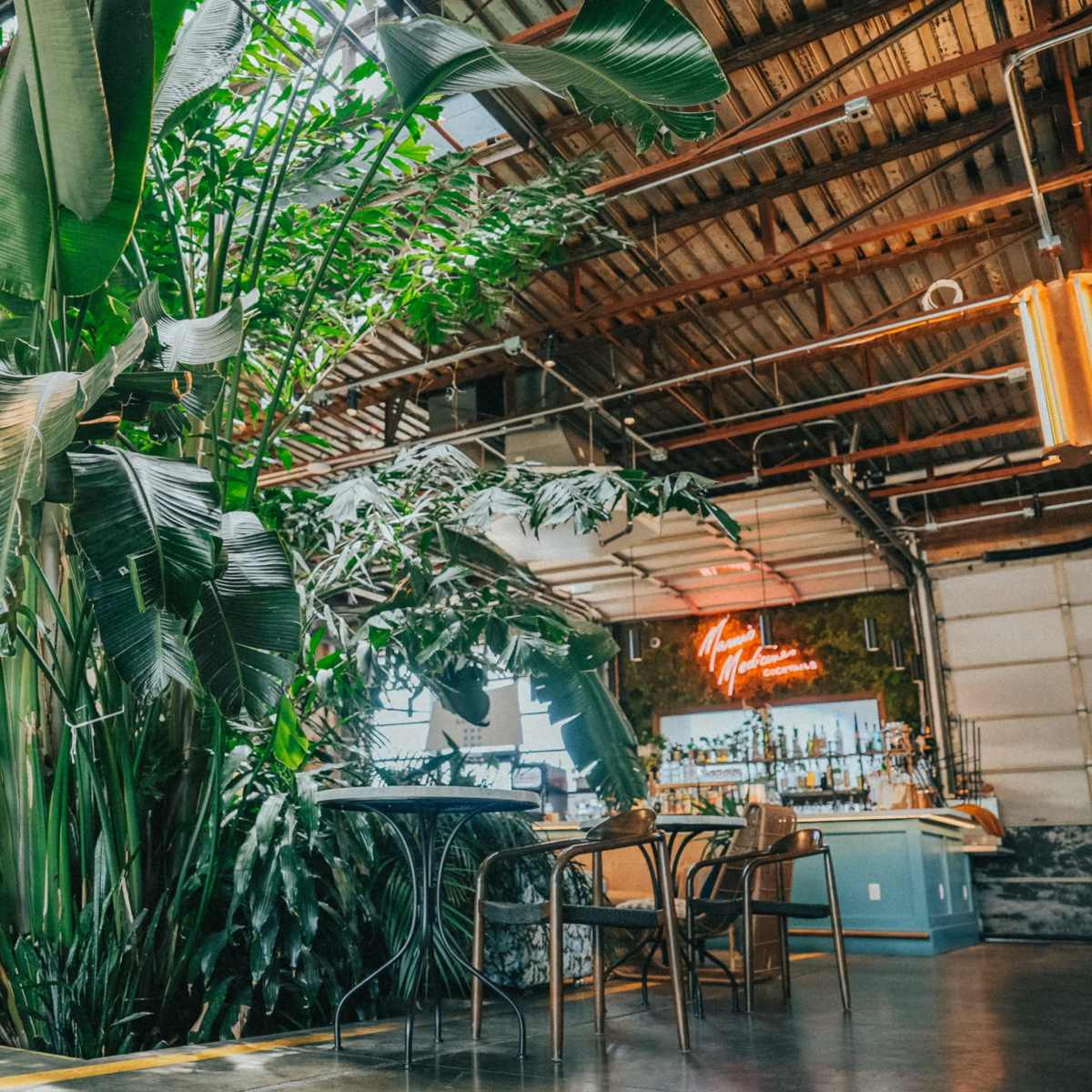 A spacious indoor café featuring a large potted plant surrounded by tables and a bar area in the background.