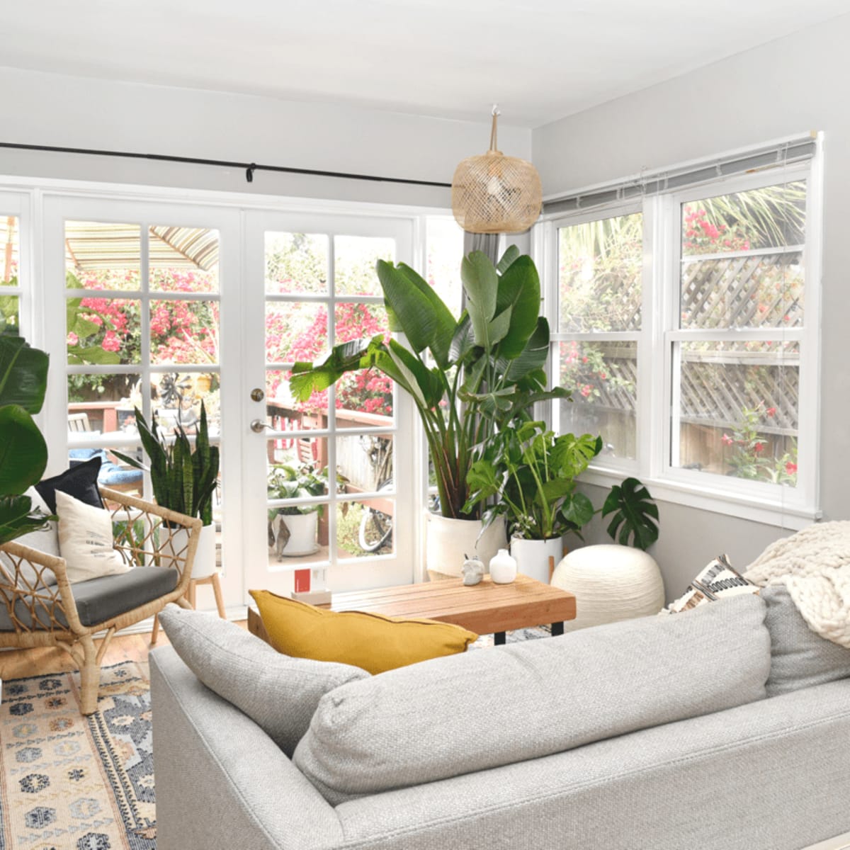 A cozy living room filled with plants, featuring a gray sofa, a wooden coffee table, and large windows that open to a garden.